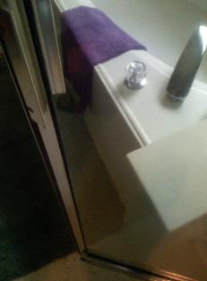 Clean Shower Door