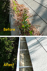 Gutter Cleaning Service, Sparta NJ
