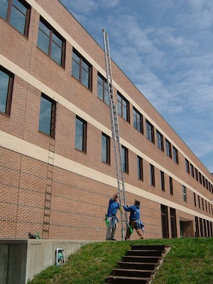 Window Cleaning Team