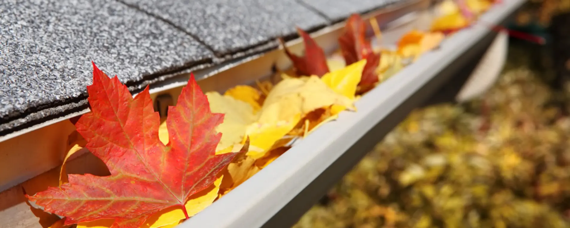 All County Window Cleaning | Residential Gutter Cleaning