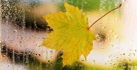 fall_window_cleaning_warwick_goshen_ny